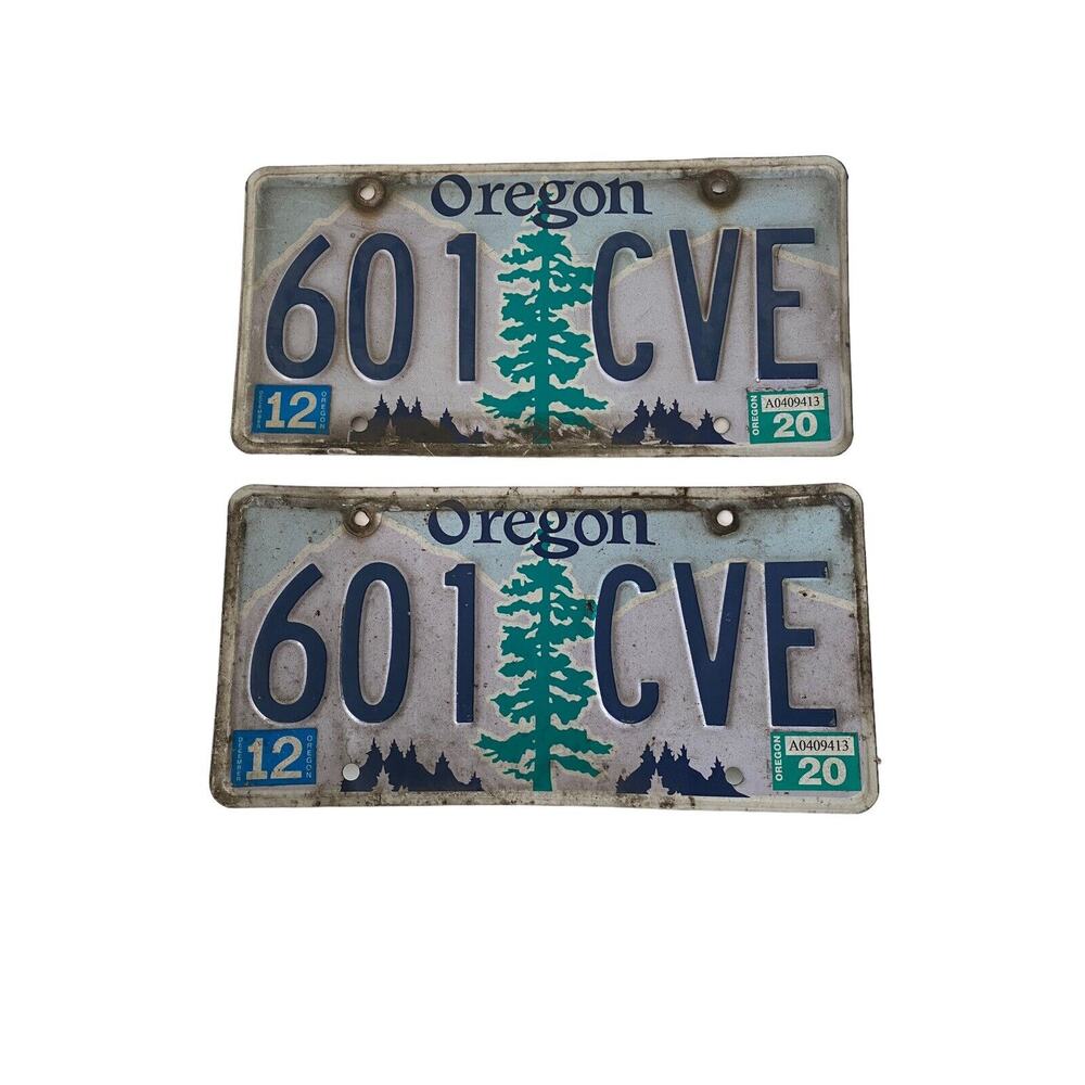 Oregon License Plate Matched Pair Tree Mountains 601 CVE 2020 Tag Man Cave Decor